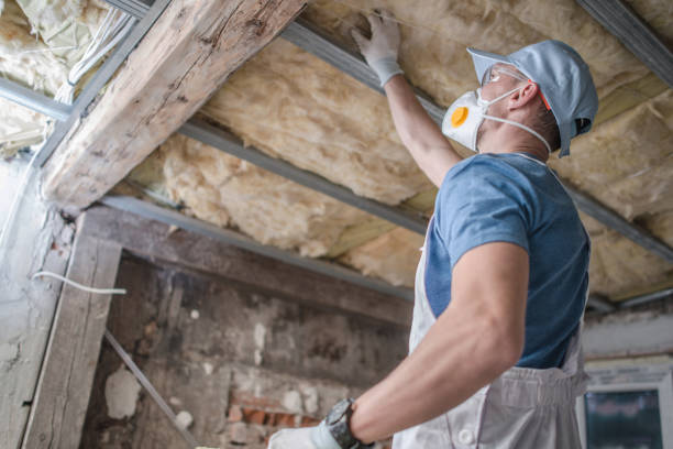 Best Eco-Friendly Insulation in Cedar Lake, IN