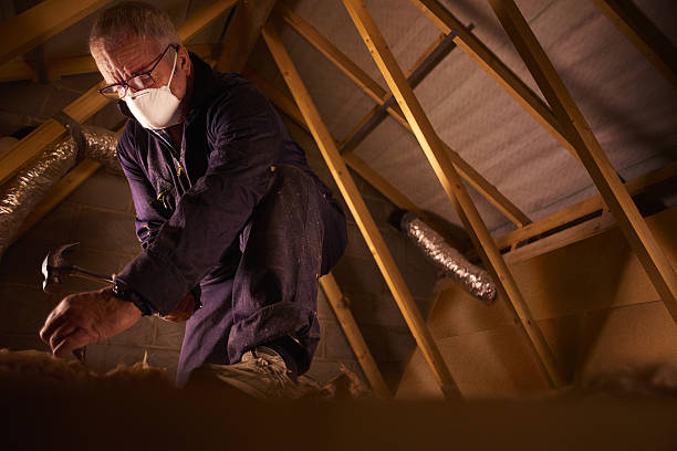 Best Specialized Insulation Services in Cedar Lake, IN