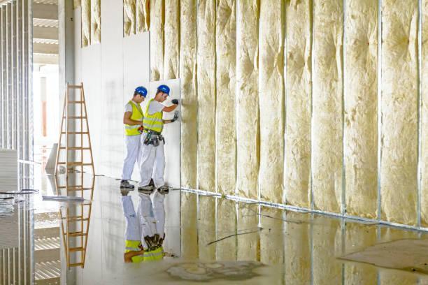Best Cellulose Insulation in Cedar Lake, IN
